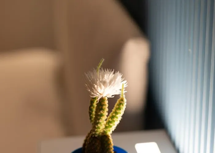 Inluce Loft Санремо